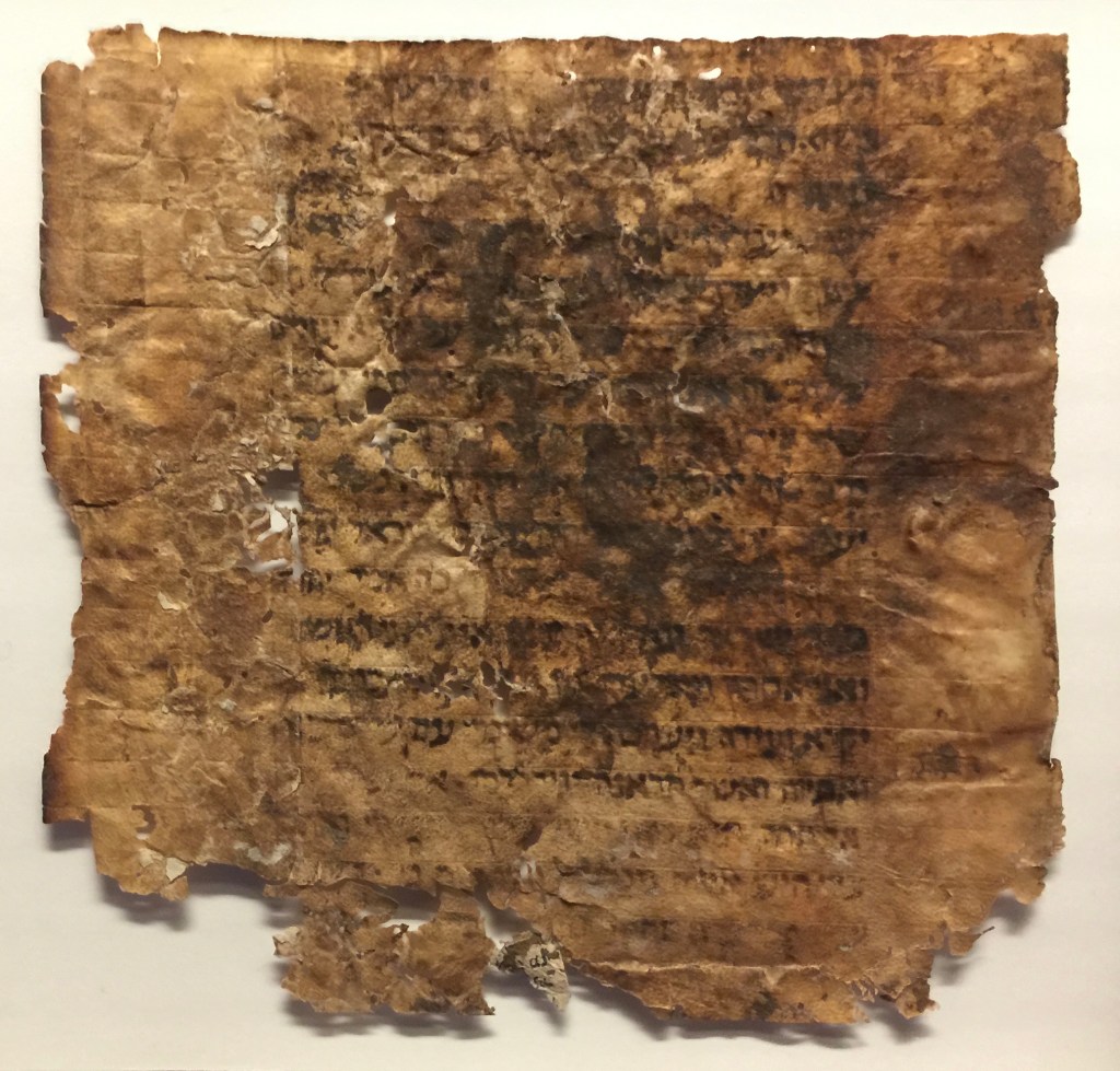 The Bible’s Trustworthiness and&nbsp;Authority