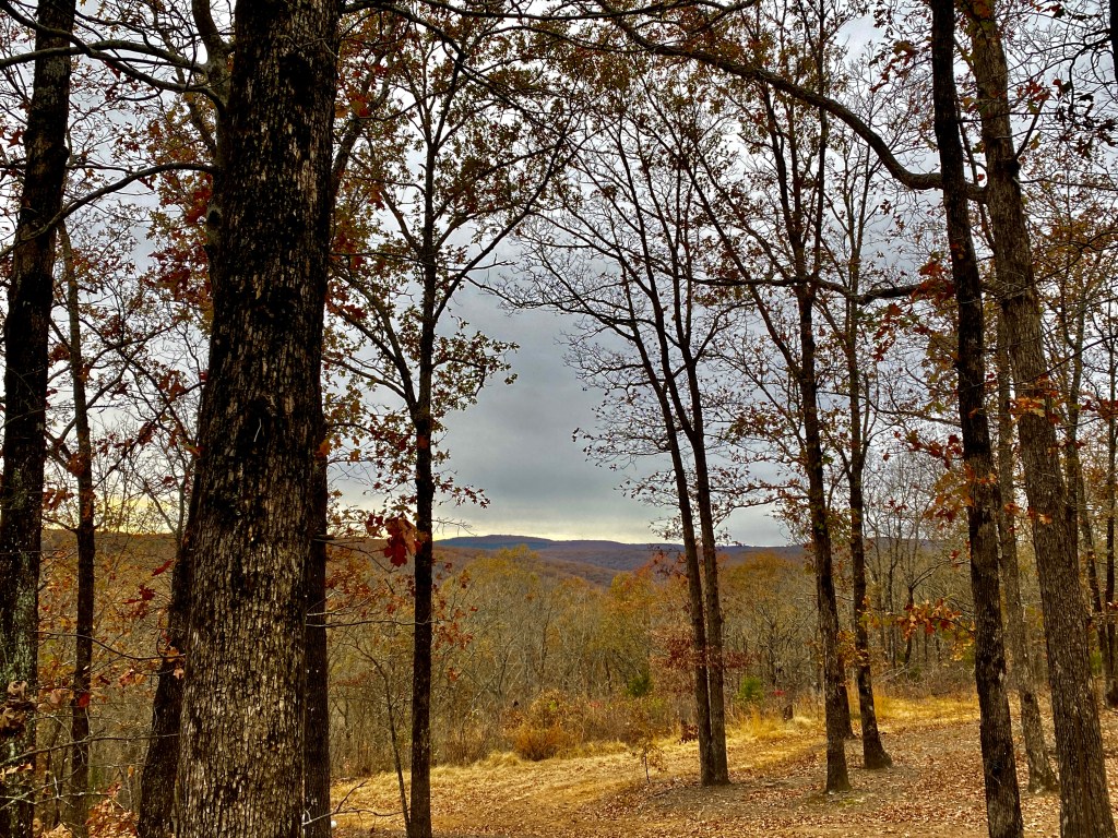 The One Who Authors my&nbsp;Story