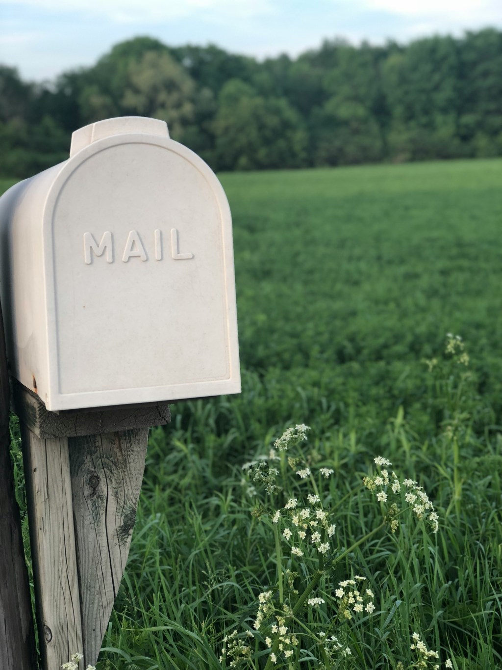 Some Encouragement for Your Mailbox
