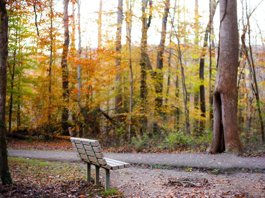 Bible Verses on&nbsp;Rest